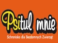Schronisko Psitul mnie dla bezdomnych zwierząt