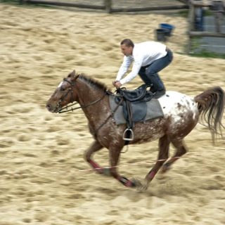 Twinpigs - Miasteczko westernowe