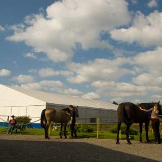 Ośrodek jeździecki Maciejów
