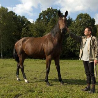 Ośrodek jeździecki Maciejów