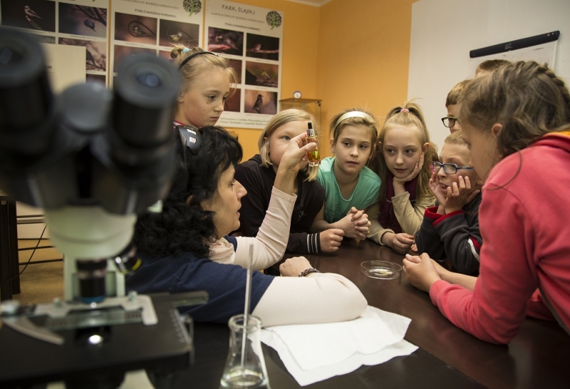 Pięć propozycji na ferie w Parku Śląskim