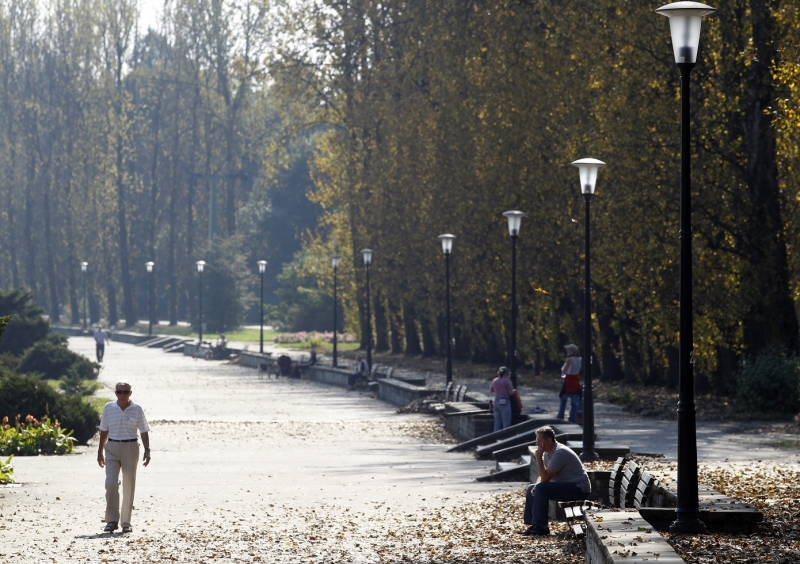 Rozpoczyna się wymiana parkowego drzewostanu. Topole posadzimy wspólnie