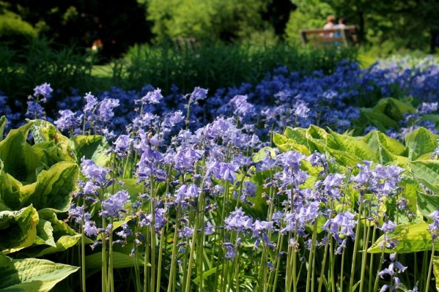 Park Śląski coraz bardziej kolorowy. Obsadzane są kwietniki i rzeźby plenerowe