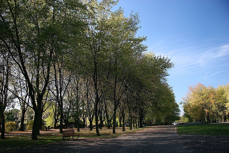 Unijne wsparcie dla ochrony przyrody w Aglomeracji Górnośląskiej