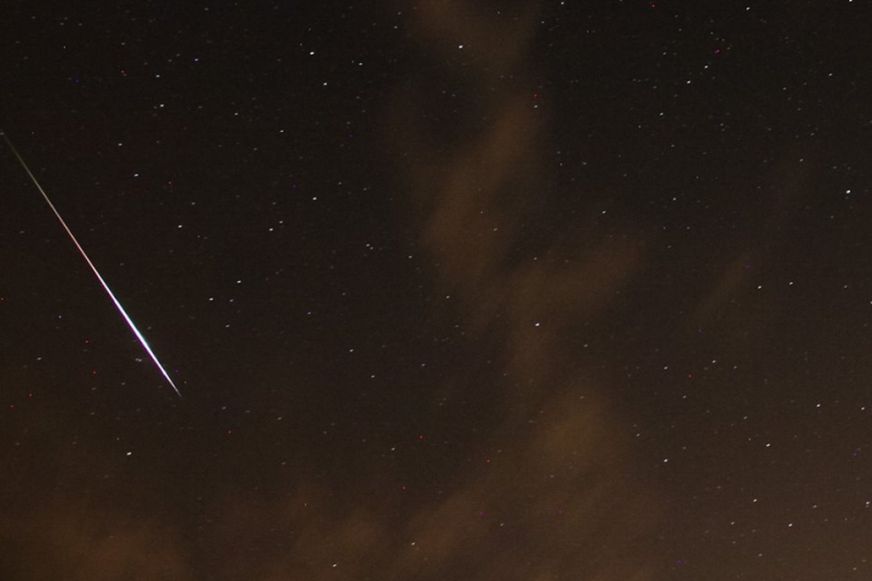 Wypatrywanie spadających gwiazd przed Planetarium Śląskim