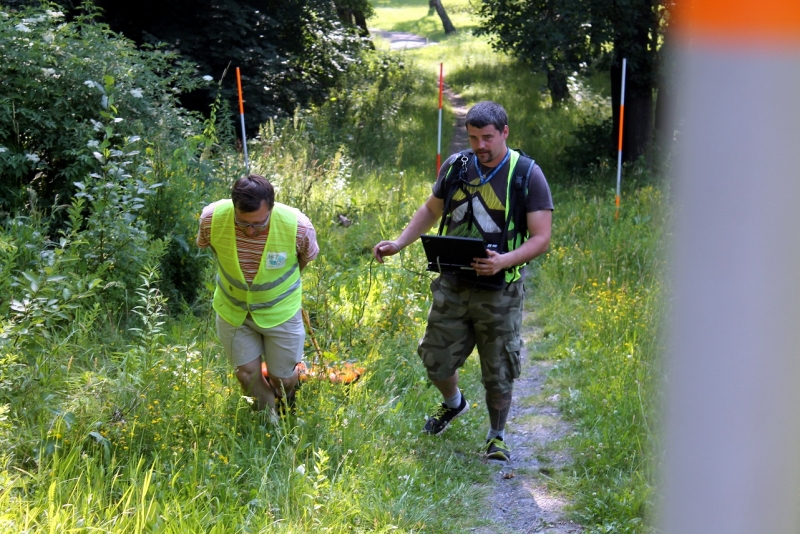 W poszukiwaniu zaginionej altany, czyli tajemnica skrywana przez nasyp po sankodromie
