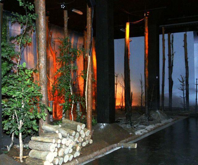 Centrum Edukacji Przeciwpożarowej