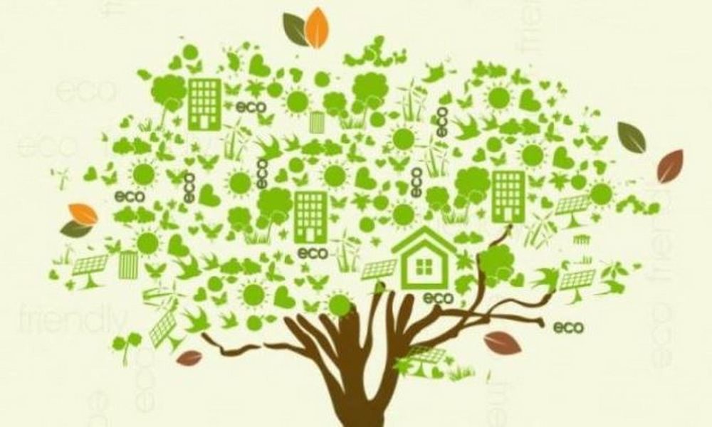 Darmowe audyty energetyczne dla przedsiębiorstw