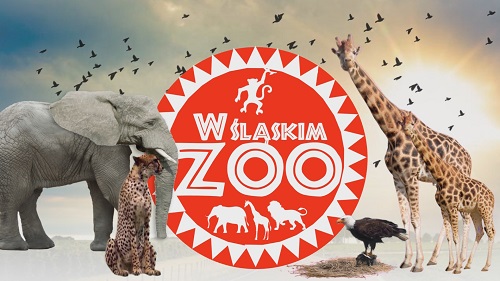 Śląskie ZOO we własnym serialu telewizyjnym zdradza swoje tajemnice!