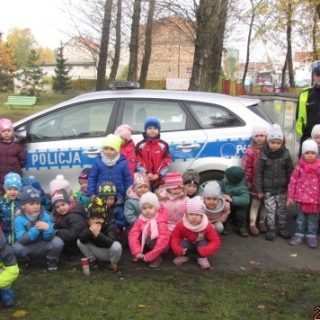 Miejskie Przedszkole nr 20 im. Słonecznej Doliny