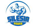 Silesia Power
