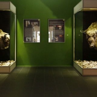 Muzeum Górnośląskie