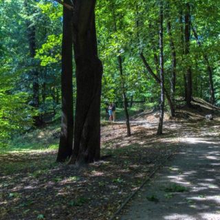 Muzeum - Pałac Schoena