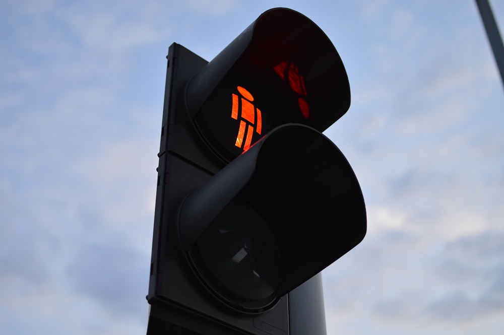 Basen kosztem ogródków?