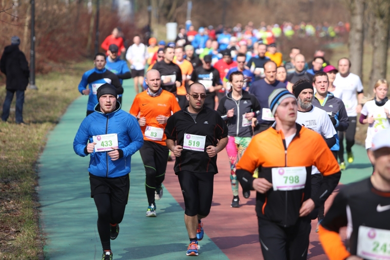 25. Finał WOŚP w Parku Śląskim. Bieg, nordic walking i aukcje