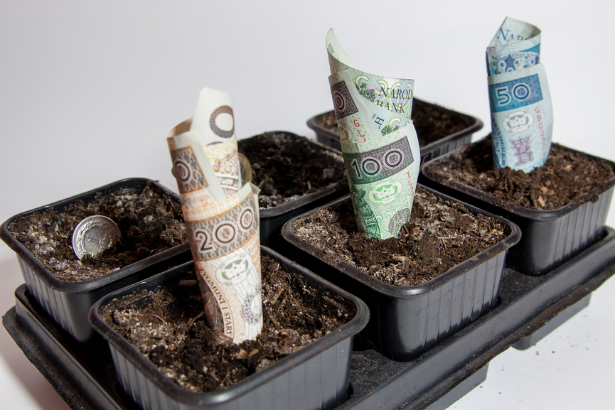 Czy kobiety mają droższe ubezpieczenie OC?