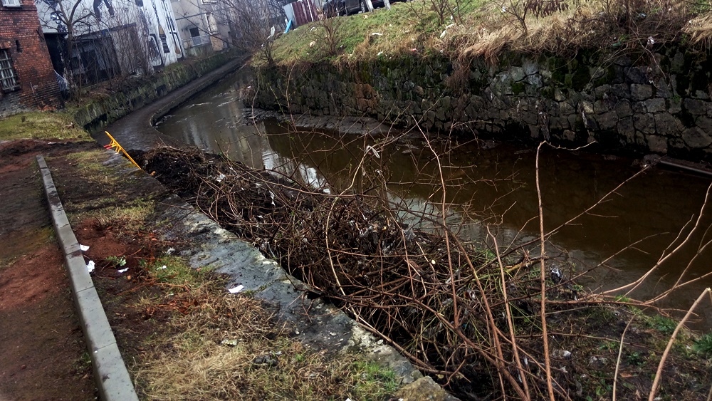 Miasto posprząta rawę?