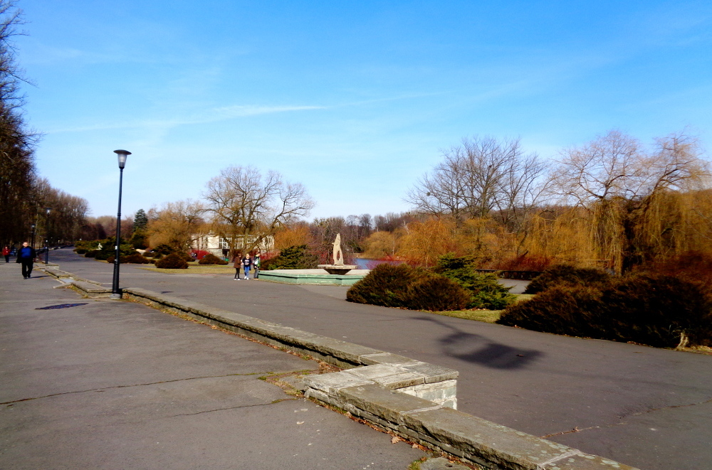 Tyszanka nowym prezesem Parku Śląskiego