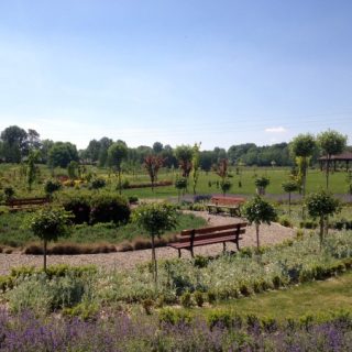 Centrum Integracji Społecznej