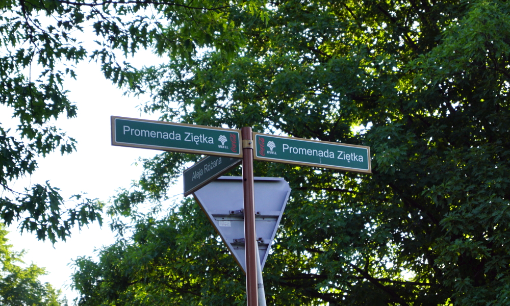 Generał Ziętek zniknie z Parku Śląskiego?