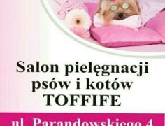 Salon pielęgnacji psów i kotów TOFFIFE