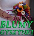 Fajniste Blumy i Gyszynki