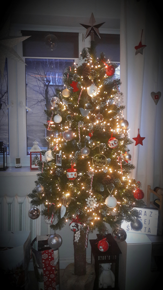 Czar świątecznego drzewka