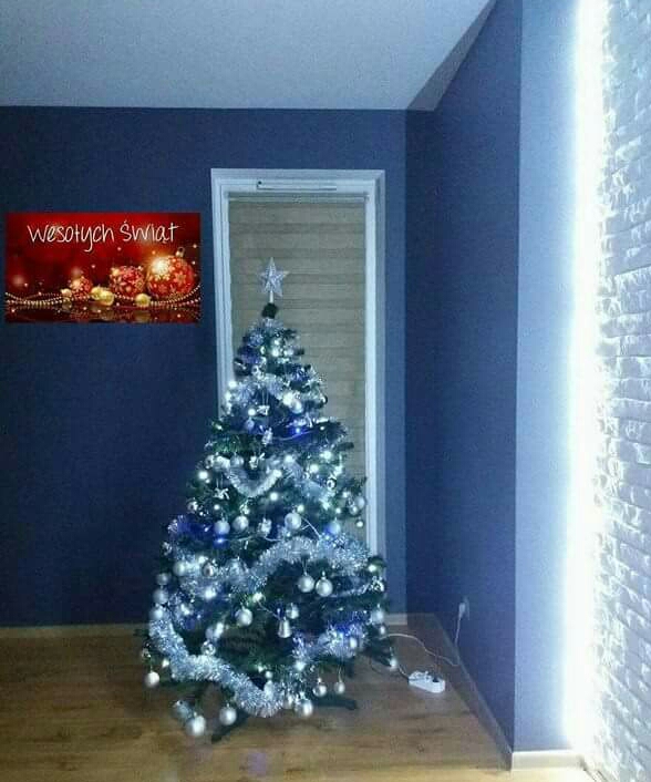 Czar świątecznego drzewka