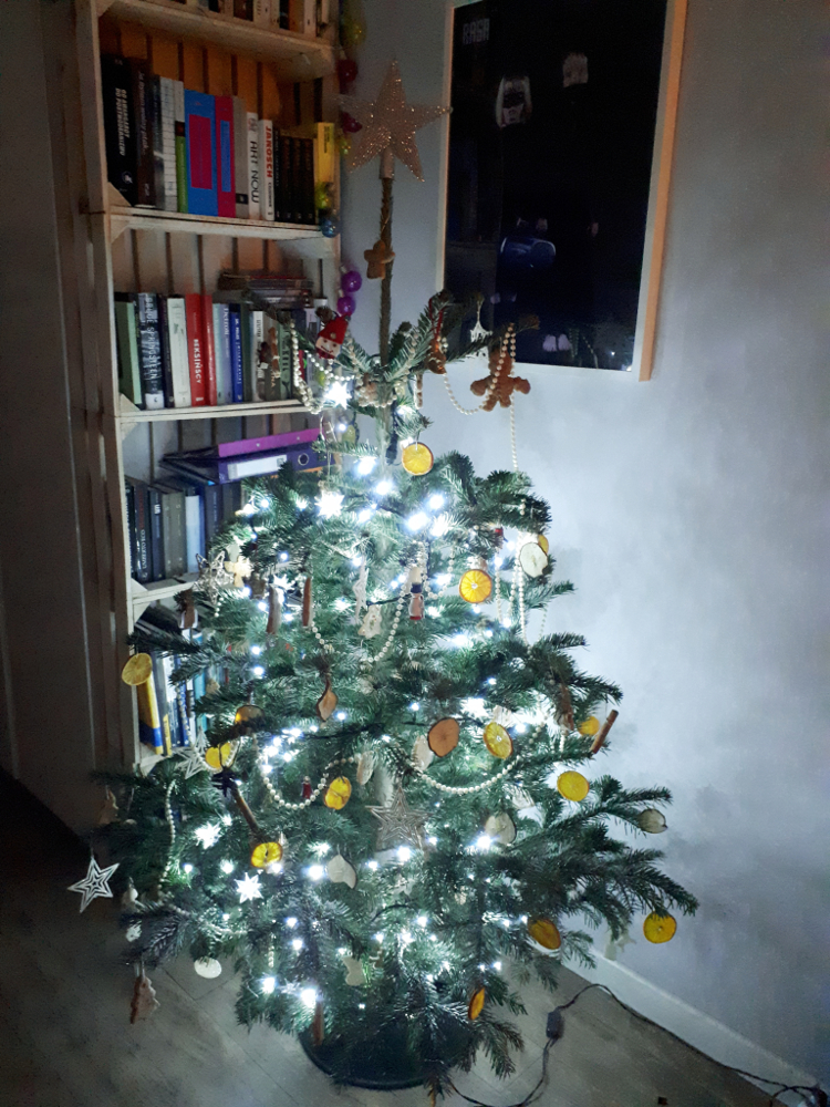 Czar świątecznego drzewka