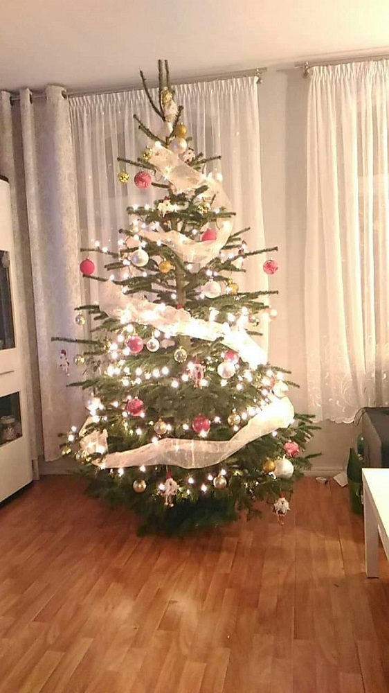 Czar świątecznego drzewka