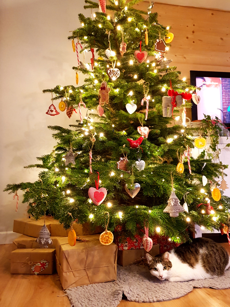 Czar świątecznego drzewka