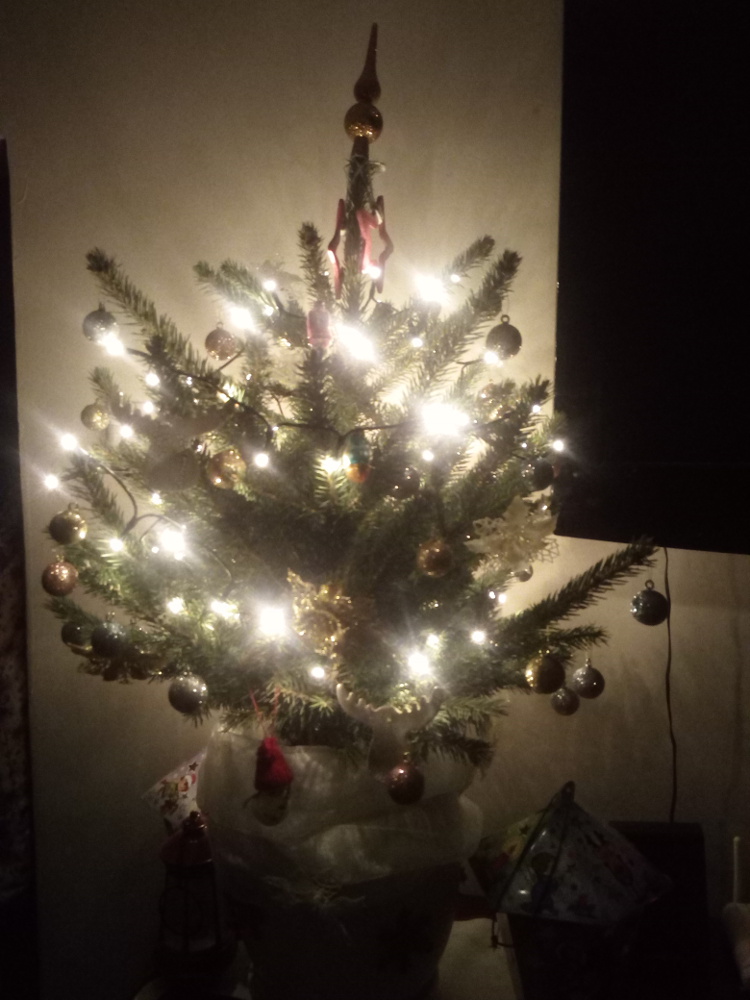 Czar świątecznego drzewka