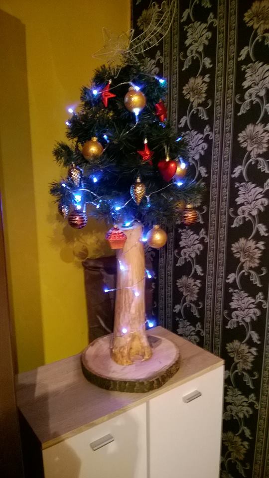 Czar świątecznego drzewka