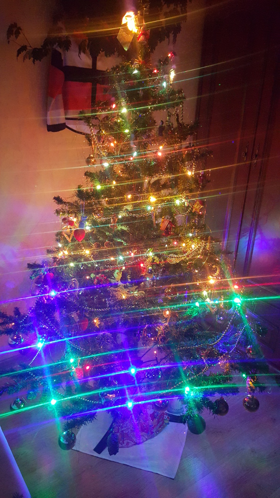 Czar świątecznego drzewka