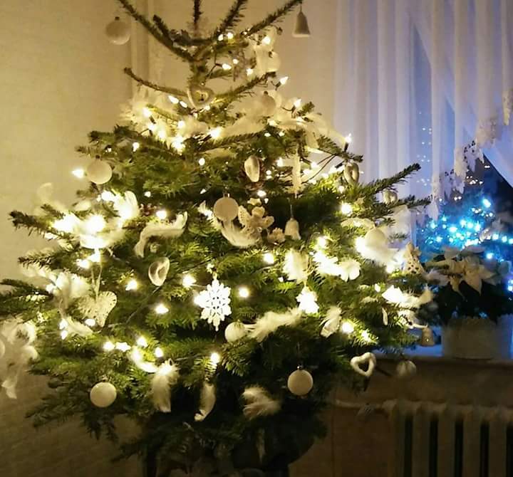 Czar świątecznego drzewka