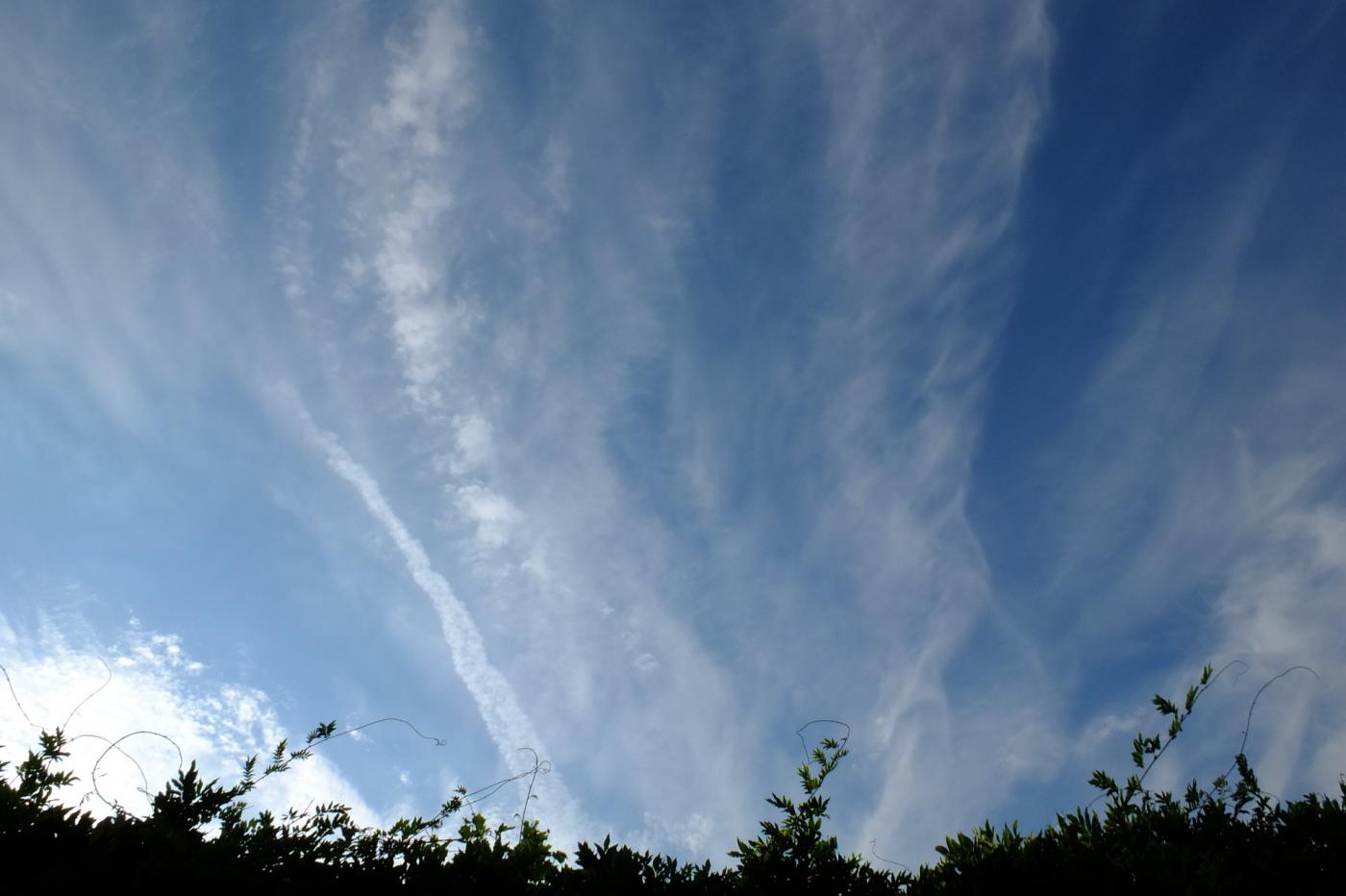 WHO alarmuje: Polacy oddychają najgorszym powietrzem w UE