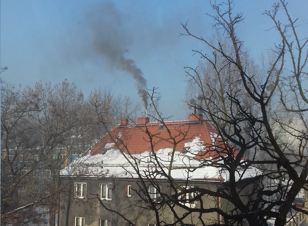 Czy to dobry dzień na spacer? Jakość powietrza w mieście