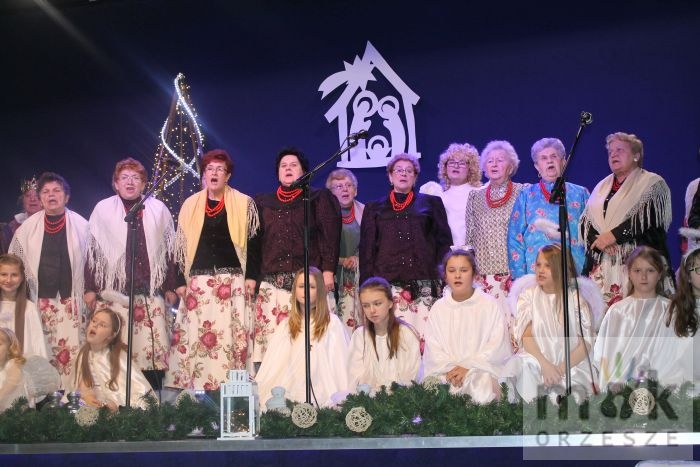 Pójdźmy wszyscy do stajenki...