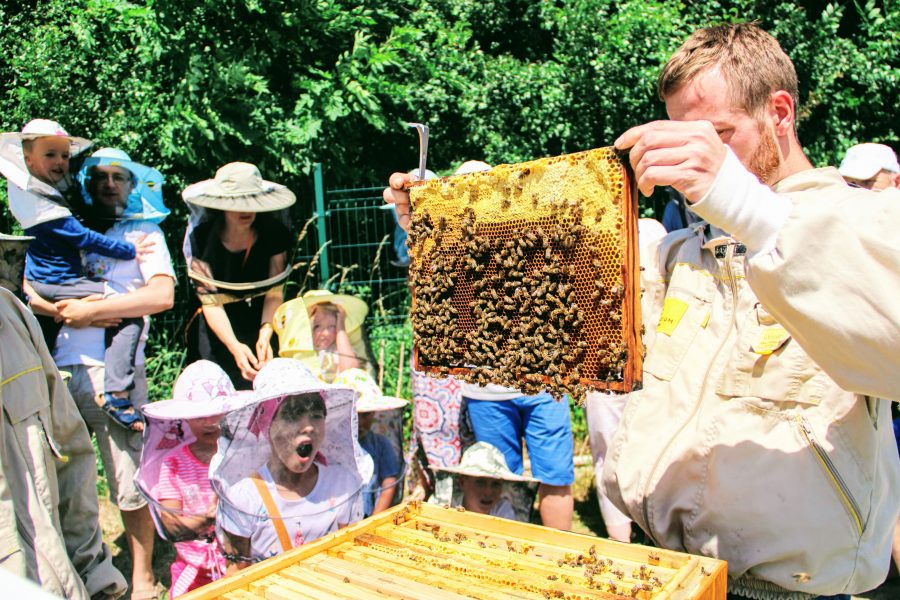 Konkurs ekologiczny dla szkół podstawowych