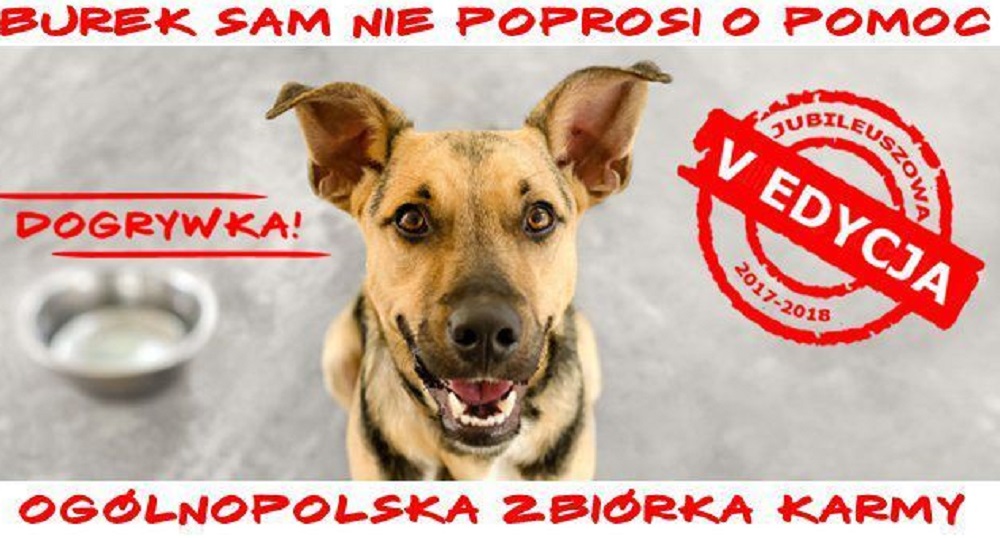 Zbiórka na Psią Chatę do 15 stycznia!