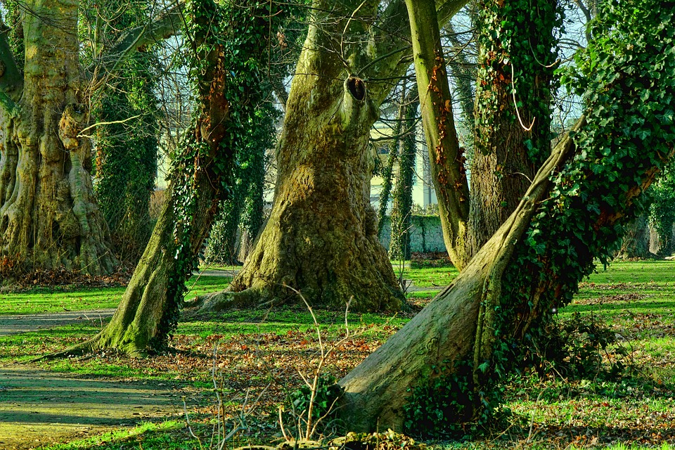 Ponad 3 miliony złotych dla Parku Miejskiego