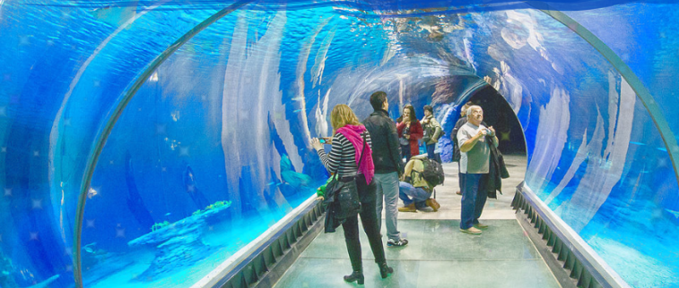 III wyjazd do Afrykarium