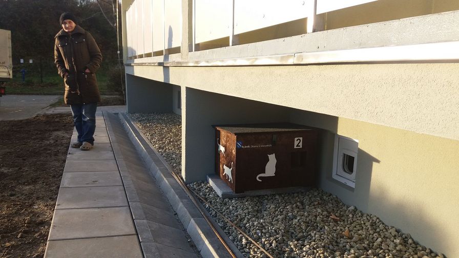 Dbamy o wszystkich, dbamy o koty