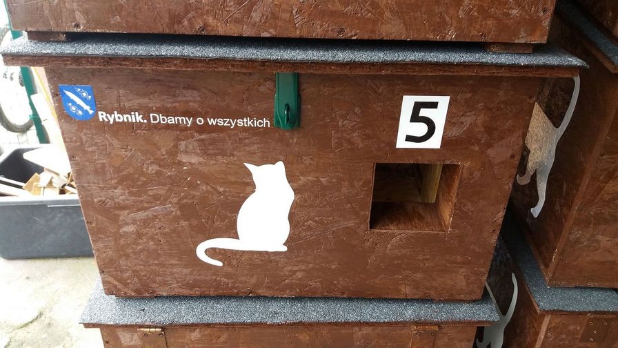 Dbamy o wszystkich, dbamy o koty