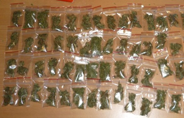 Policjanci przejęli ponad 100 porcji marihuany