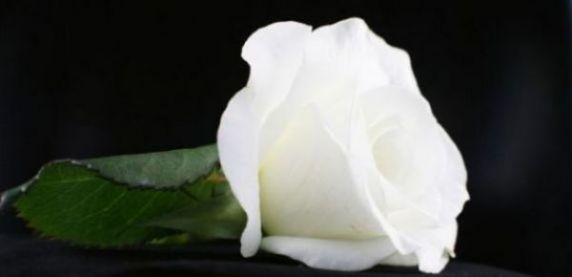 Zmarł Andrzej Strzelecki