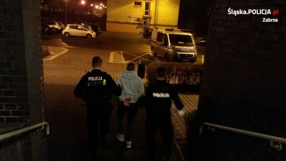 Sprawcy kradzieży sklepowych w rękach policji