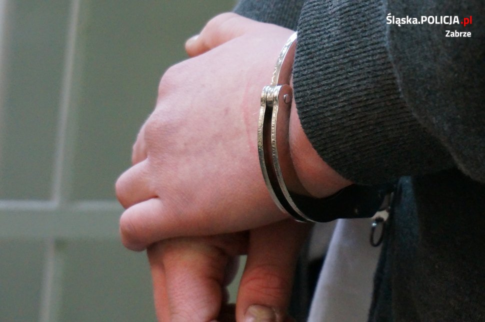 Areszt dla sprawcy kradzieży traka taśmowego do drewna