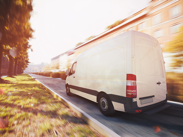 Jak przewieźć rośliny?