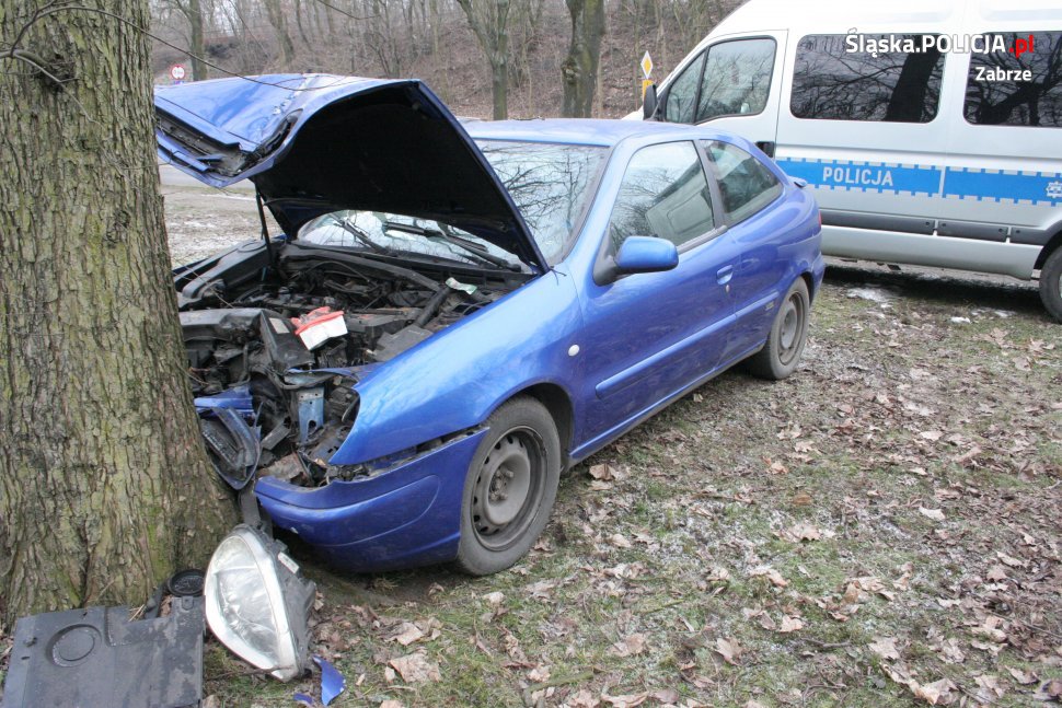 Wpadła w poślizg i uderzyła w drzewo